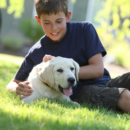 boy with dog on grass