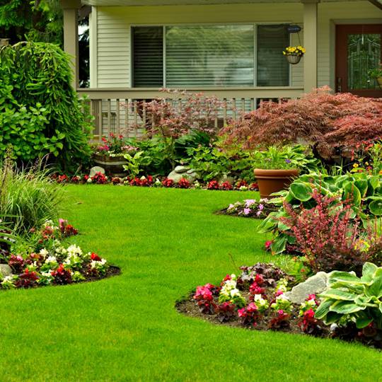 Inspecting Ornamentals and Shrubs