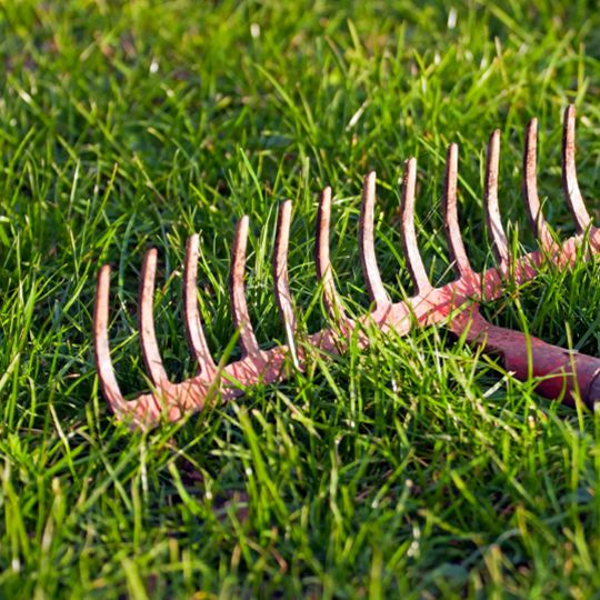 Early Spring Lawn Care and Dethatching