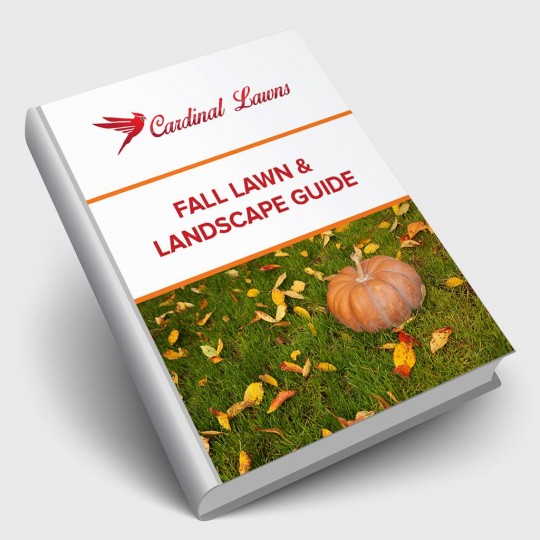Fall Lawn & Landscape Guide