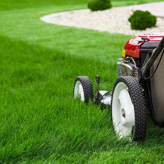 Mowing lawn