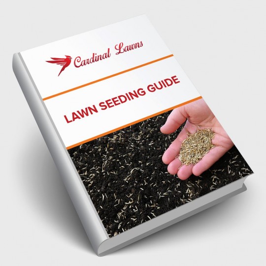 Lawn Seeding Guide