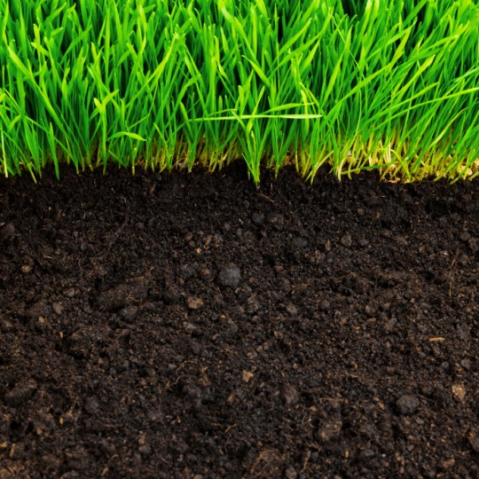 Soil Testing: Learn About Your Lawn