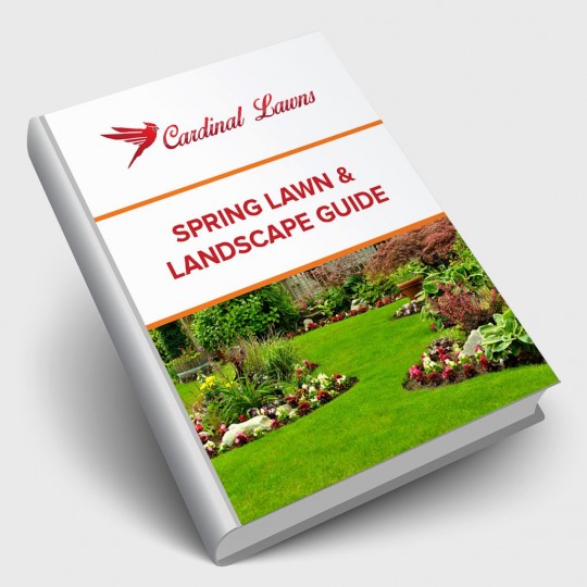 Spring Lawn & Landscape Guide