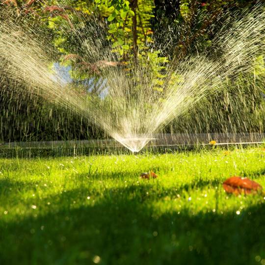 Telltale Signs That It’s Time to Water the Lawn