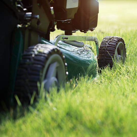 Finding the Right Cutting Height for Your Lawn Mower