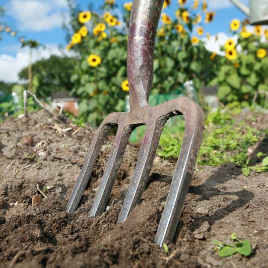 Use These Four Aeration Tools to Make Your Lawn Gorgeous