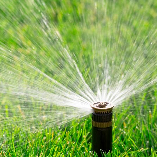 How Much to Water the Lawn