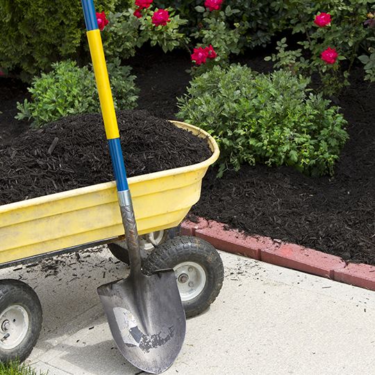 Spreading mulch