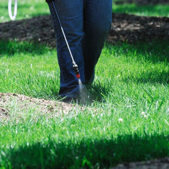 Spraying Herbicide to control weeds