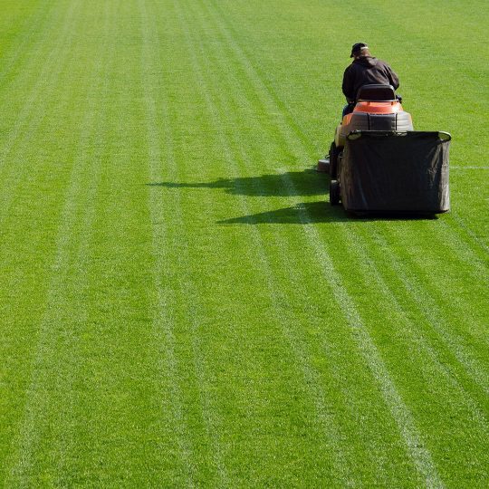 Cut Like a Pro: The Best Lawn Mowing Patterns