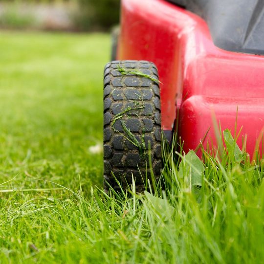 Fall Lawn Mowing