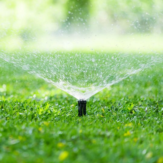 Lawn Care: How Much to Water Your Lawn