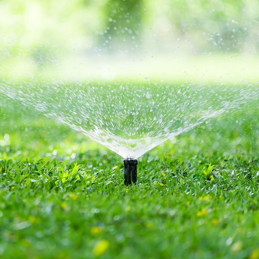 lawn-care-how-much-to-water-your-lawn-cardinal-lawns