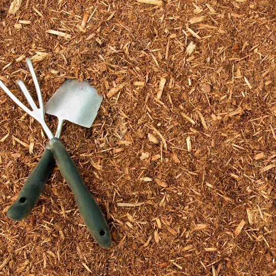 Mulching Tips