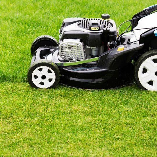 Spring Lawn Care