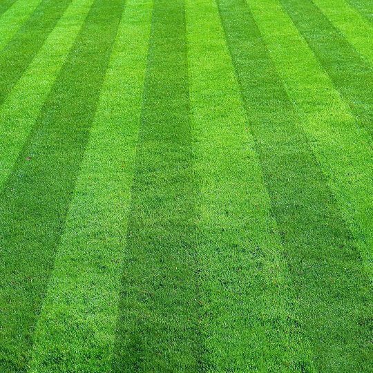 Best Lawn Mowing Patterns