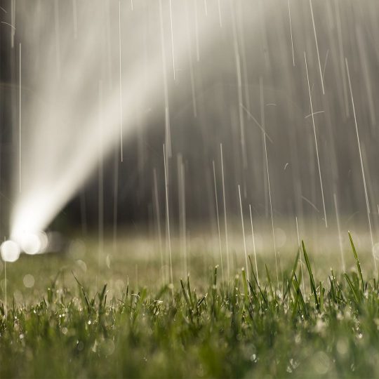 How Much to Water Your Lawn