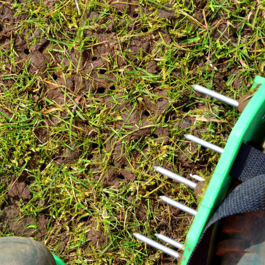 Aerate in the Fall