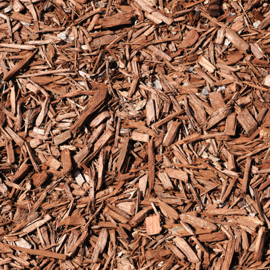 10 Mulching Tips