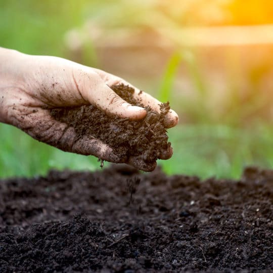 How Important is Soil Testing