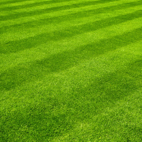 Best Lawn Mowing Patterns