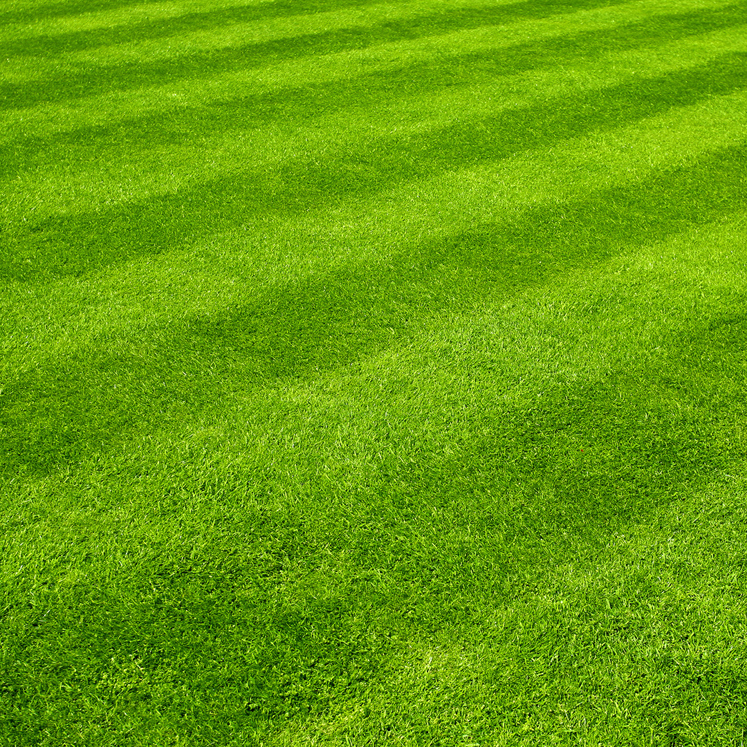 Best Lawn Mowing Patterns - Cardinal Lawns