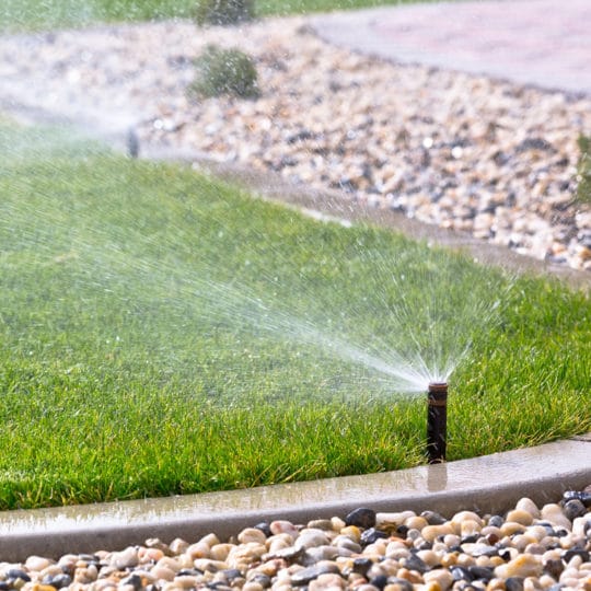 Watering Your Lawn in the Summer