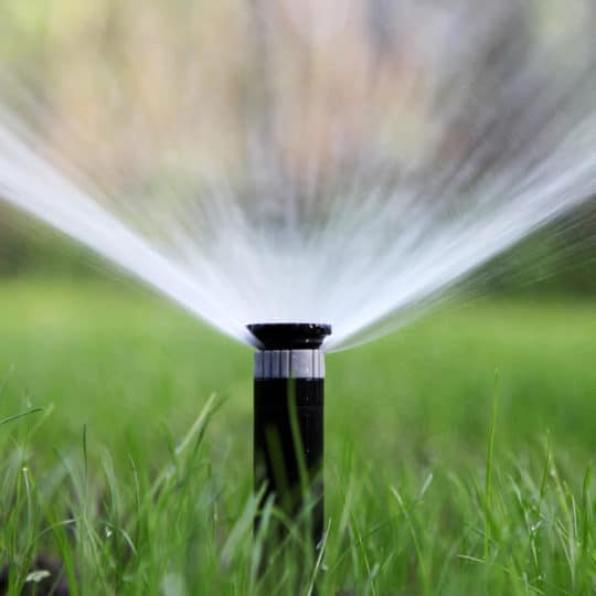 Watering Your Lawn