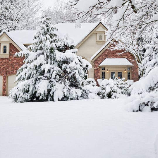 snow-on-lawn