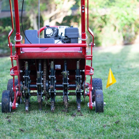 Aerating Your Lawn in the Winter