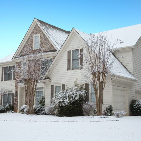 Healthy Winter Lawn