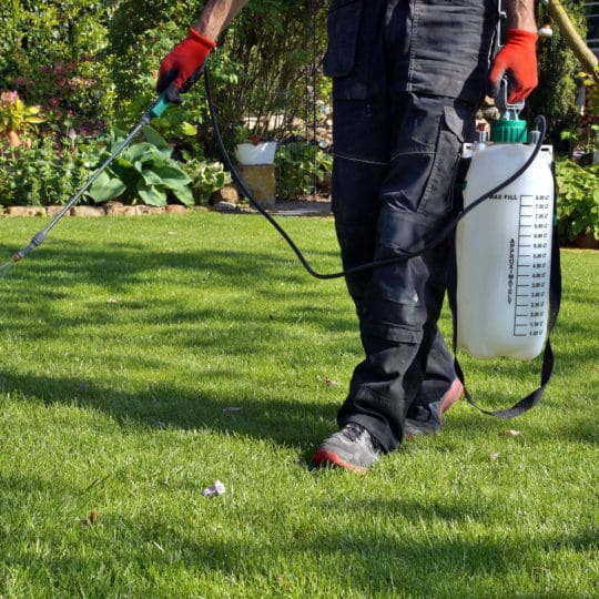 Fall Weed Control