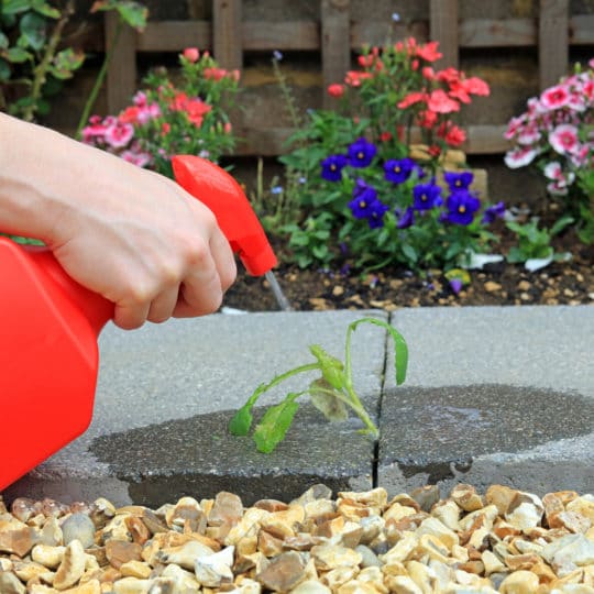 Weed Control Methods