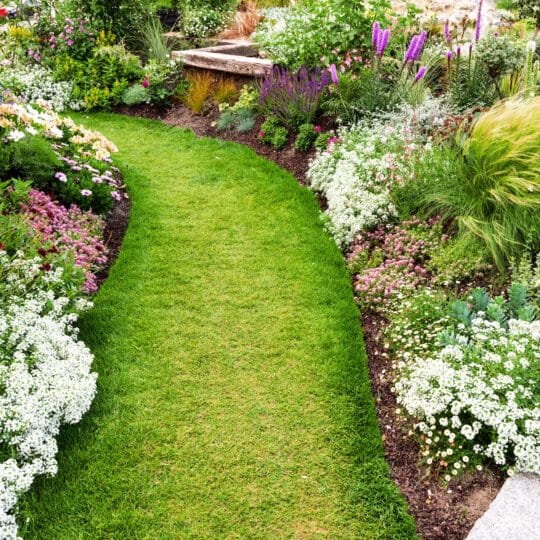 Landscaper Lawn Tips List for Spring